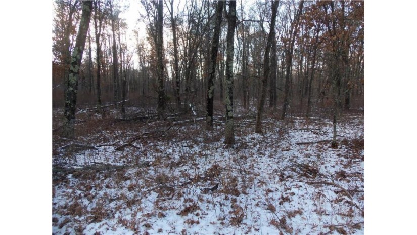 LOT 8 Spaulding Rd Road Grantsburg, WI 54840 by Woods & Water Real Estate Llc, Ellsworth $27,900