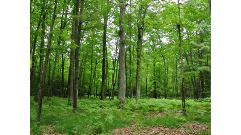 Lot 115 Deerwood Rd Minocqua, WI 54548 by Redman Realty Group, Llc $23,000