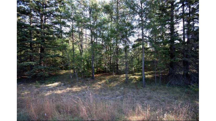 Lot 1 Hwy 27 Hayward, WI 54843 by Woodland Developments & Realty $19,900