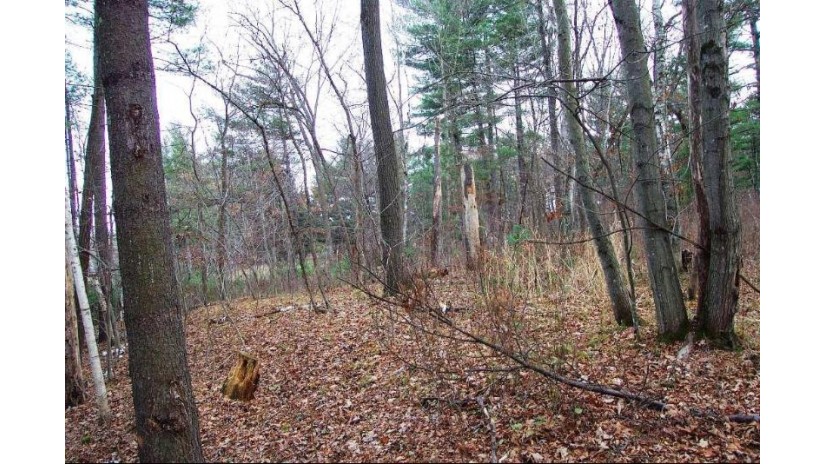 Lot 1 670th Avenue Menomonie, WI 54751 by Rassbach Realty Llc $34,900