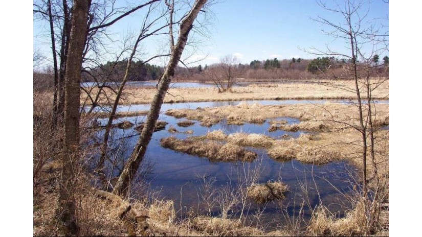 Lot 1 301st Street Eau Galle, WI 54737 by Rassbach Realty Llc $27,500