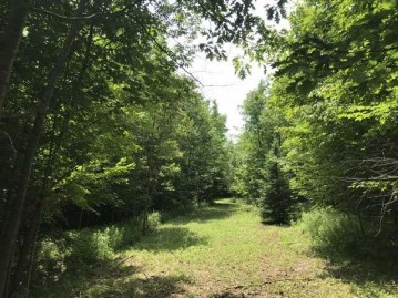 354 Ac. Forest Rd 130, Tripoli, WI 54564