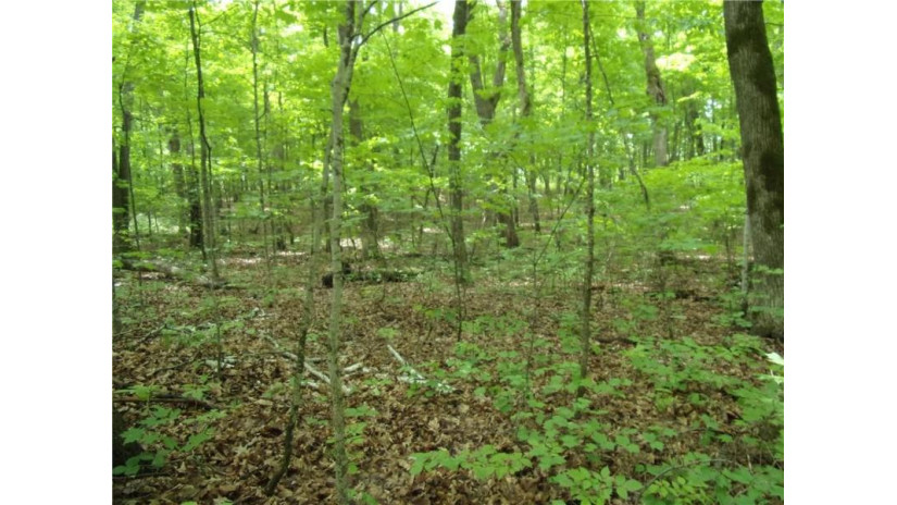 Lot#3 2 1/2 Street Cumberland, WI 54829 by Timber Ghost Realty Llc $145,000