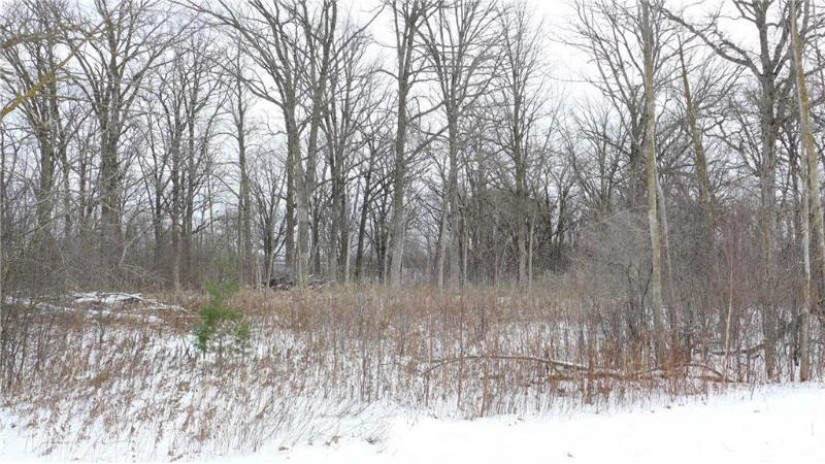 Lot 27 21st Street Rice Lake, WI 54868 by Re/Max Advantage/Rl $54,900