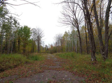 +/-160 Acres Timber Drive, Catawba, WI 54515