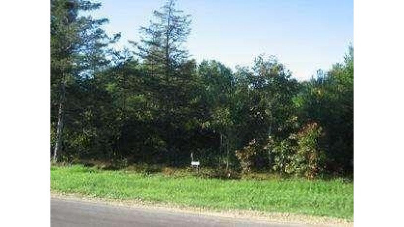 0 Stetzer Road Melrose, WI 54642 by Cb River Valley Realty/Brf $29,900