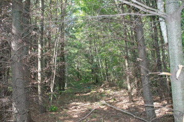 Lot 15 Lofty Pines Rd, Pine City, MN 55063