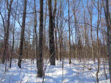 +/-240 Acres Timber Road, Catawba, WI 54515