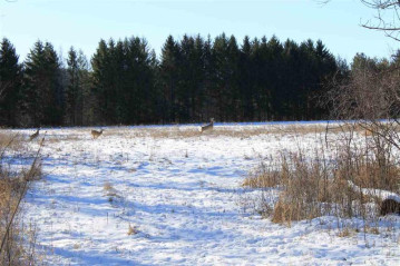 Blueberry Lane, Lyndon, WI 53093