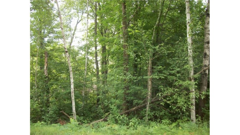 Lot 106 Arcadia Place/30th  Ave Avenue Birchwood, WI 54817 by Dane Arthur Real Estate Agency/Birchwood $25,900