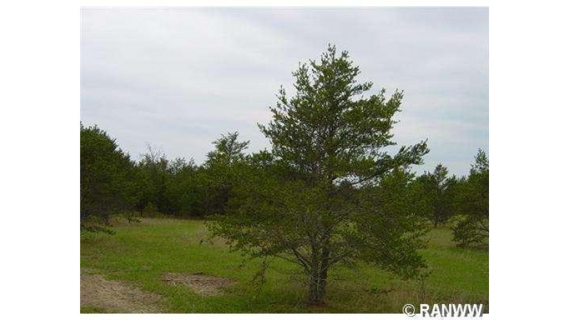 Lot 7 Brodi Lane Hayward, WI 54843 by Area North Realty Inc $35,000