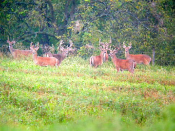 900 AC County Road Q, Dodgeville, WI 53533