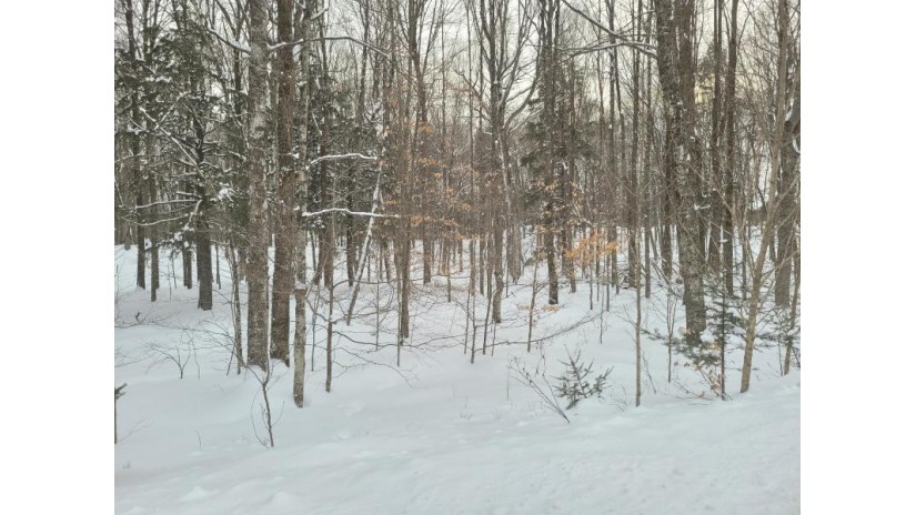 11 ACRES Fisherman Ln Silver Cliff, WI 54104 by Bigwoods Realty Inc $72,900
