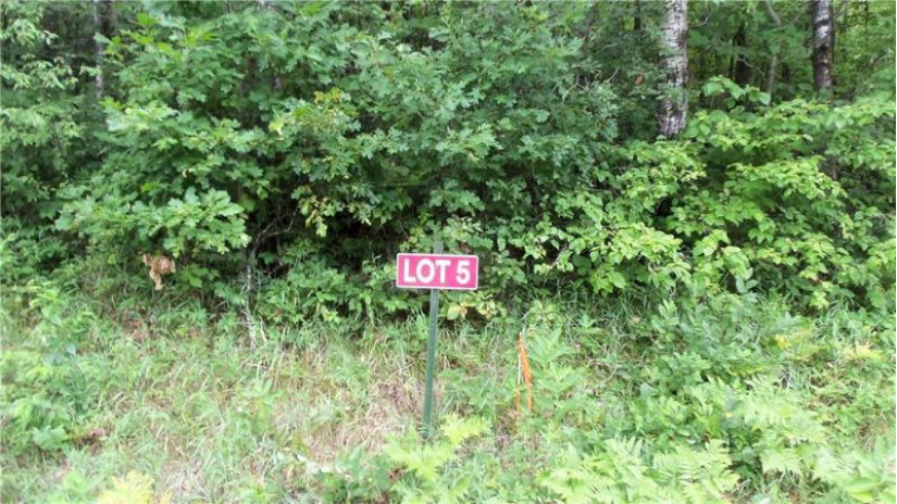 LOT 5 Cty Rd X Webster, WI 54893 by Woods & Water Real Estate Llc, Ellsworth $24,900