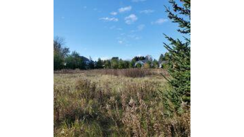 LT3 Woodridge Dr Manitowoc, WI 54220 by Action Realty $62,900