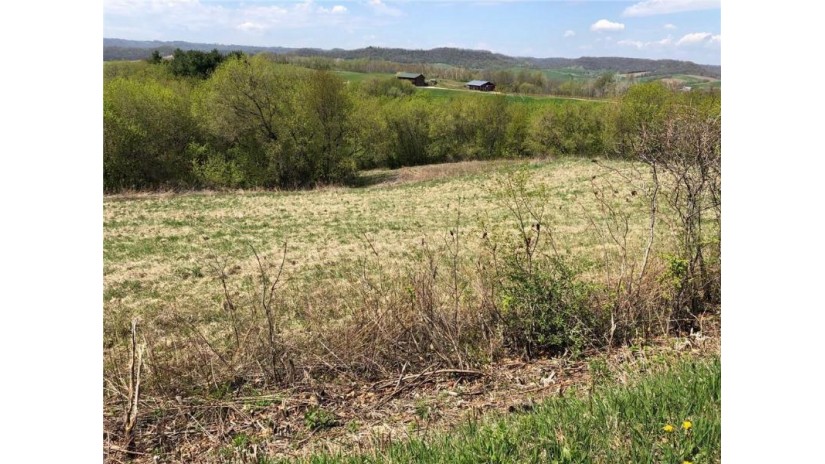 Lot 1 Boberg Lane Arcadia, WI 54612 by Hansen Real Estate Group $27,900