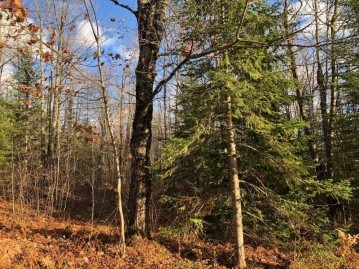 Lot 44 Alpine Dr, Anderson, WI 54565