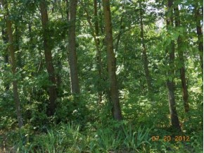 6.7 AC County Road F