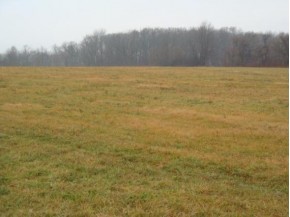 2.4 AC Norway Rd