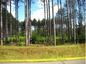 LOT 51 Greimel Rd