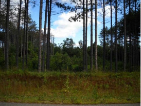 LOT 51 Greimel Rd