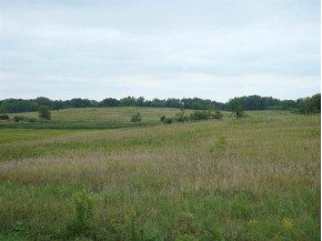 55 AC County Road A/Collins Rd