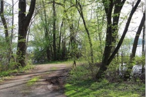 33 LOTS Bridle Path