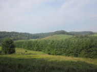 287.59 AC County Road H