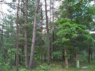 2.38 AC Woodland Ln