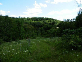 45.25 AC Garner Hill Rd