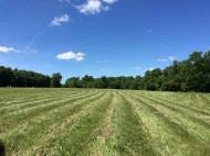 17 AC County Road B