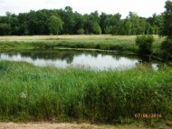 51.6 AC Snyder Rd