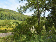 16.5 AC Gault Hollow Rd