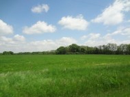 38.78 AC S County Road T