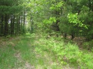 3.59 AC County Road O