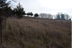 58.32 AC Hillside Dr