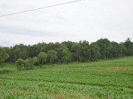 20 AC Tucker Rd