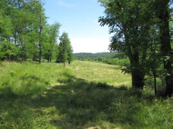 44.60 AC Beagle Ln