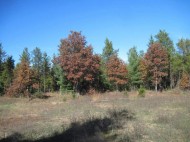 5 AC County Road C