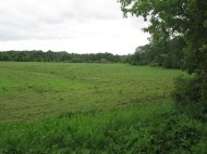 28 AC Shady Lane Rd