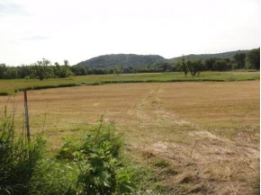 30 AC West Point Rd