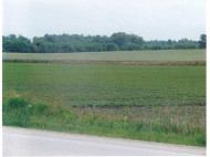 36.51 AC County Road B