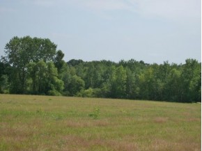 12.10 AC Martin Ave