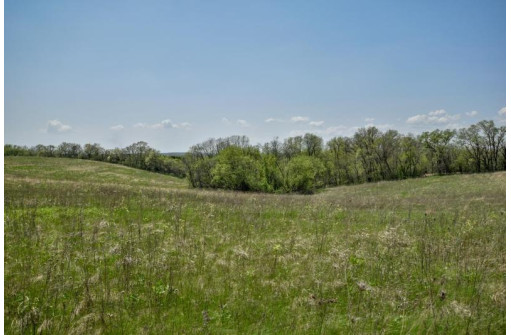 35.66 ACRES Ridge Dr, Belleville, WI 53508