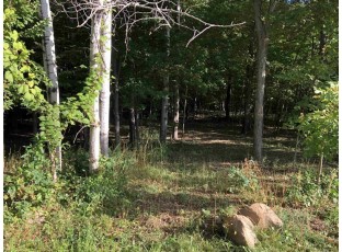 0 Draper St - Lot 52 Baraboo, WI 53555