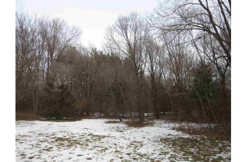 5 LOTS Tuttle St & Martiny Ct, Baraboo, WI 53913