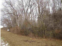 5 LOTS Tuttle St & Martiny Ct, Baraboo, WI 53913