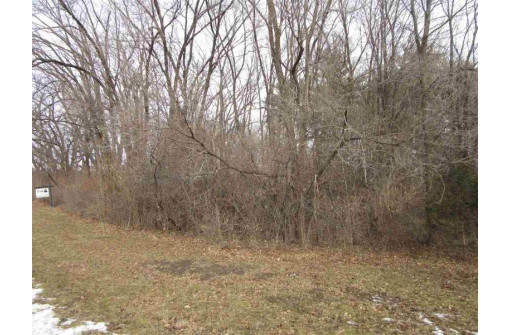 5 LOTS Tuttle St & Martiny Ct, Baraboo, WI 53913