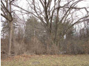 5 LOTS Tuttle St & Martiny Ct, Baraboo, WI 53913