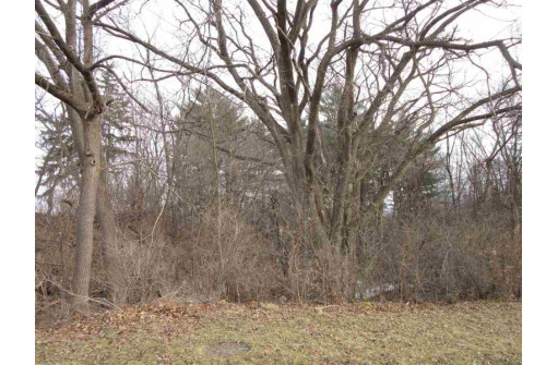 5 LOTS Tuttle St & Martiny Ct, Baraboo, WI 53913